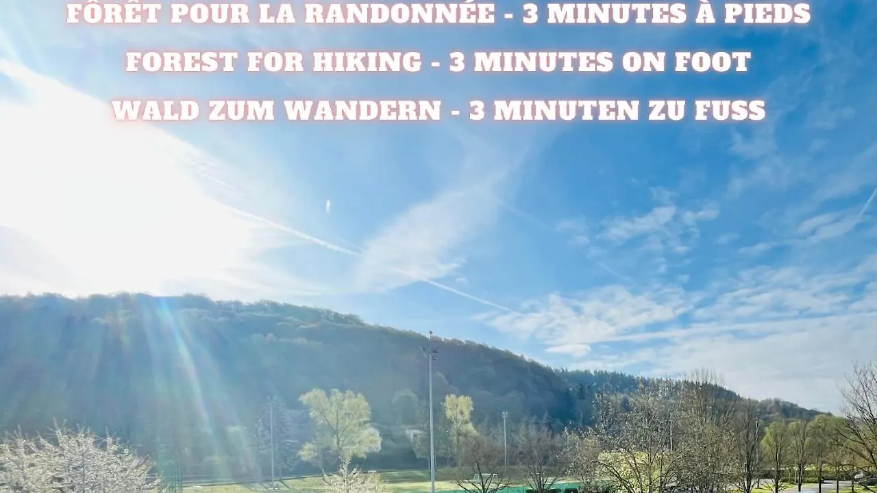 Cosy Room With Tv In Luxembourg City - Easy Parking-Bus And Forest Luxembourg